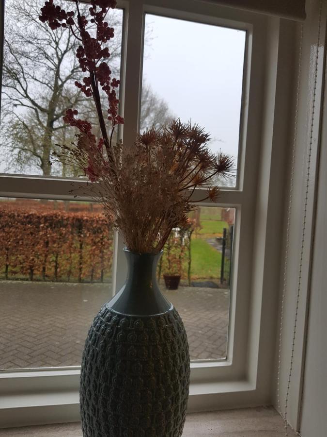 Op Ut Schoor Apartamento Sint-Oedenrode Exterior foto